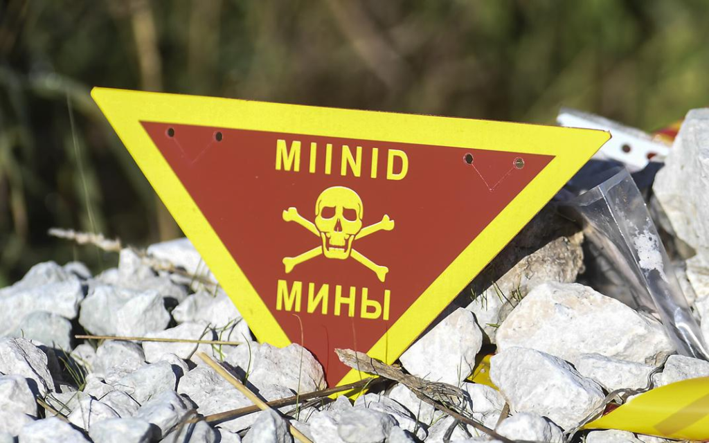 Естонський парламент дозволив перевезення протипіхотних мін через країну